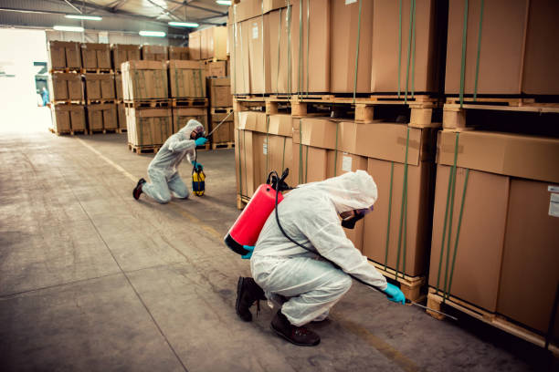 Best Termite Control Services  in North Liberty, IA