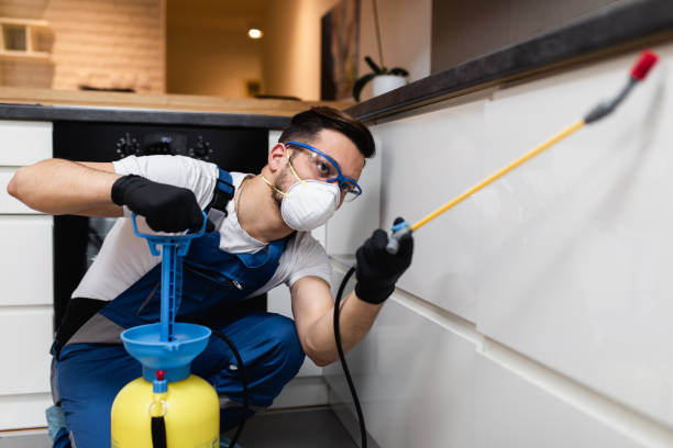 Wasp Removal Services in North Liberty, IA