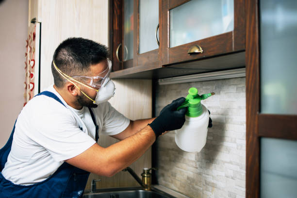 Pest Control for Restaurants in North Liberty, IA