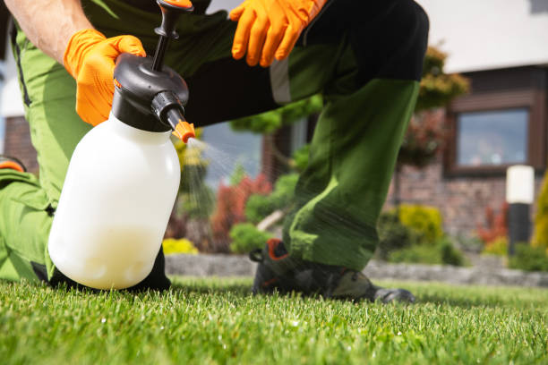 Best Rat Extermination Near Me  in North Liberty, IA