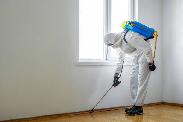 Best Bed Bug Extermination  in North Liberty, IA