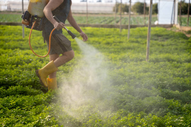 Best Mosquito Control Services  in North Liberty, IA