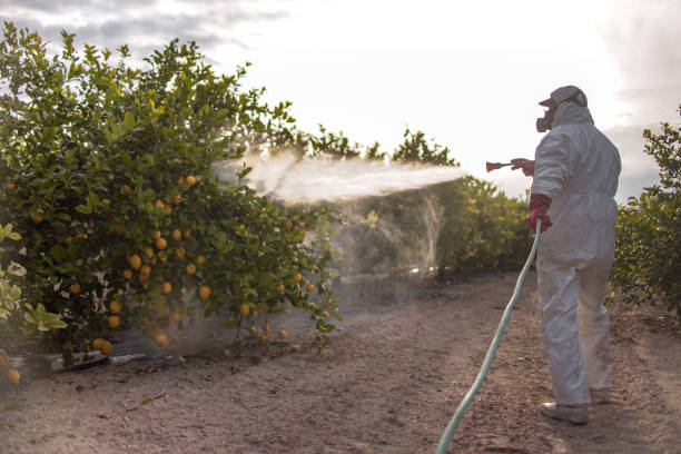 Best Local Pest Control Services  in North Liberty, IA