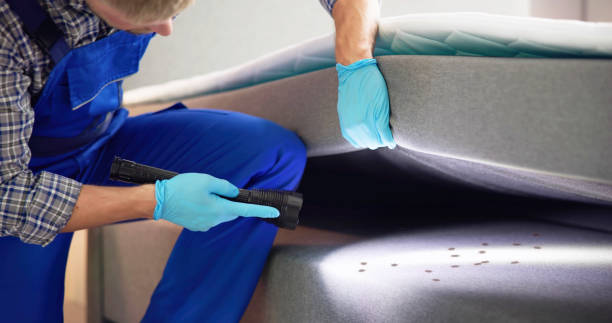 Best Pest Control for Homes  in North Liberty, IA