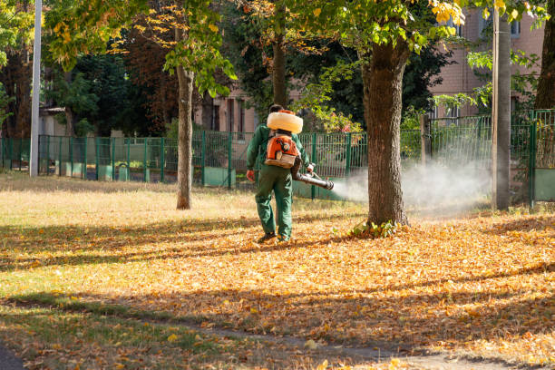 Best Rat Extermination Near Me  in North Liberty, IA