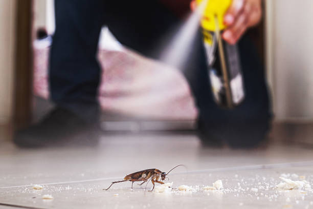 Wildlife Control Services in North Liberty, IA