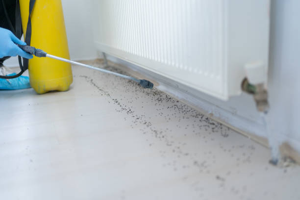 Best Emergency Pest Control  in North Liberty, IA