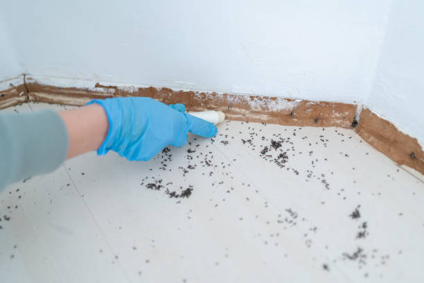 North Liberty, IA Pest Control Company