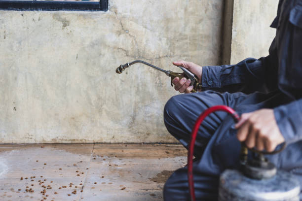 Best Best Pest Control Companies  in North Liberty, IA